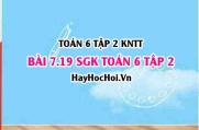 Bài 7.19 SGK Toán 6 tập 2 Kết nối tri thức